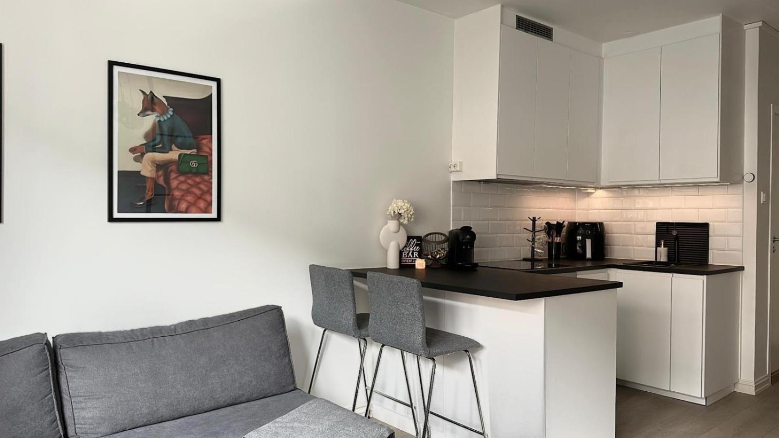 Cozy City Studio With Free Parking Apartment Oslo Exterior photo